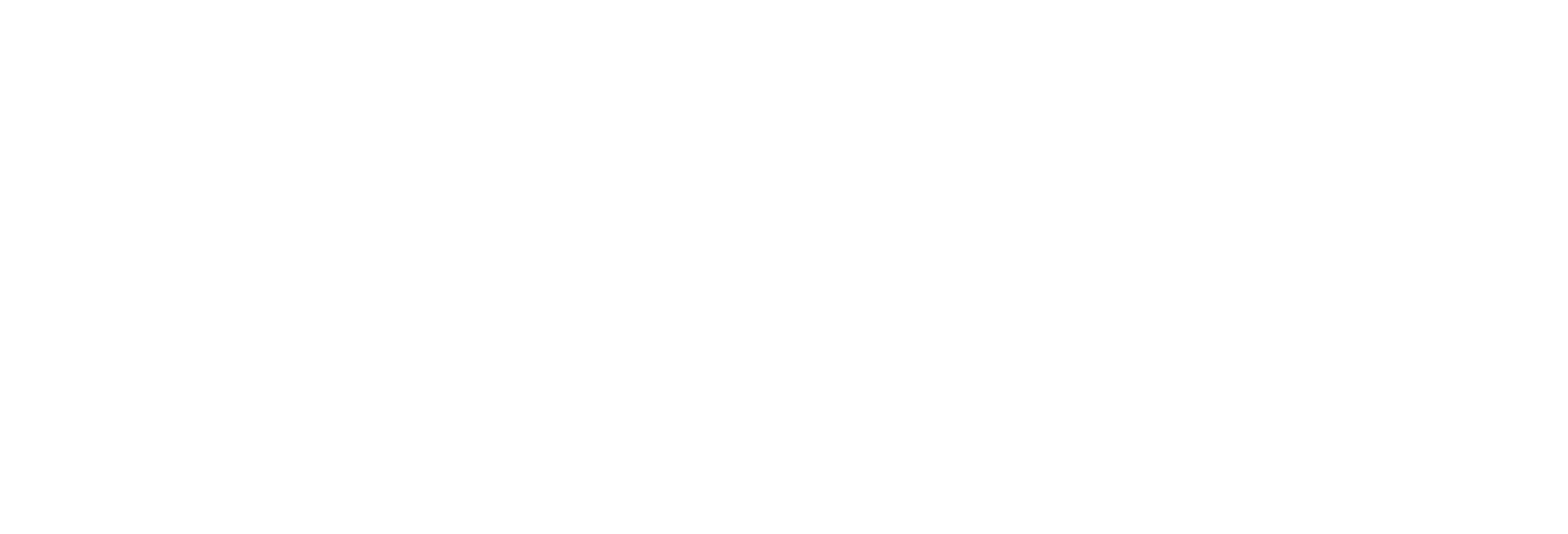CoNetwork logo
